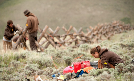 Graduate student conducting research in the field