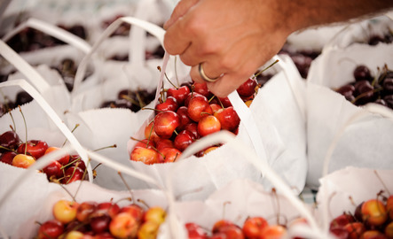 Cherries at the farmer's market