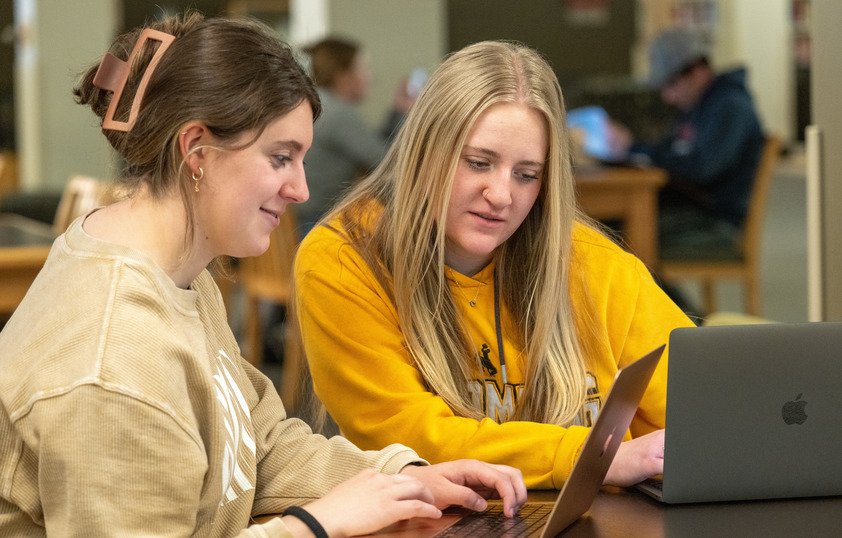 Two students working on laptops together