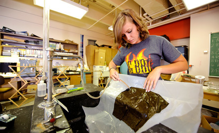 Student dying article of clothing