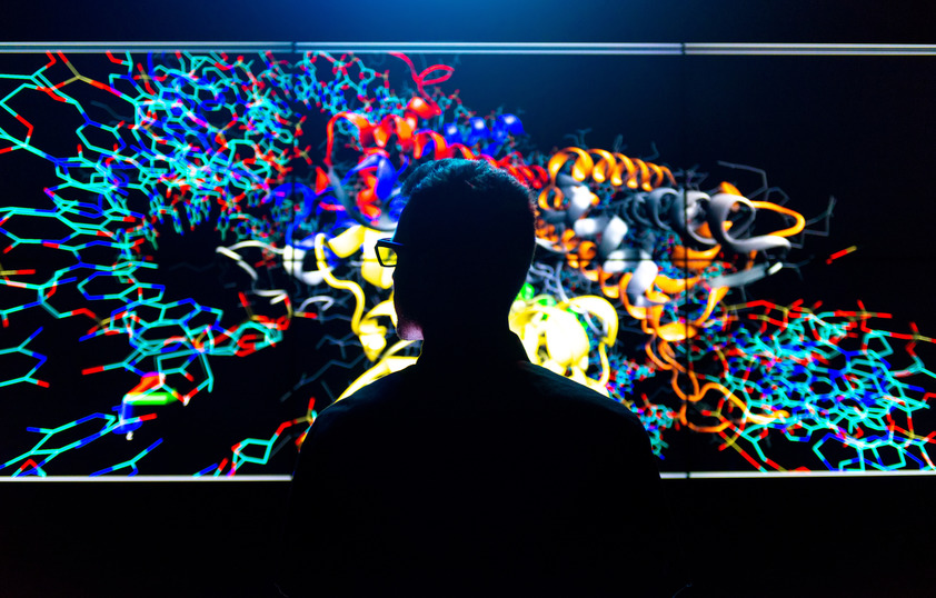 Student looking at large colorful photo
