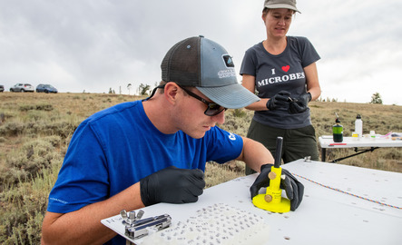 Two researchers prepare vials out in the field