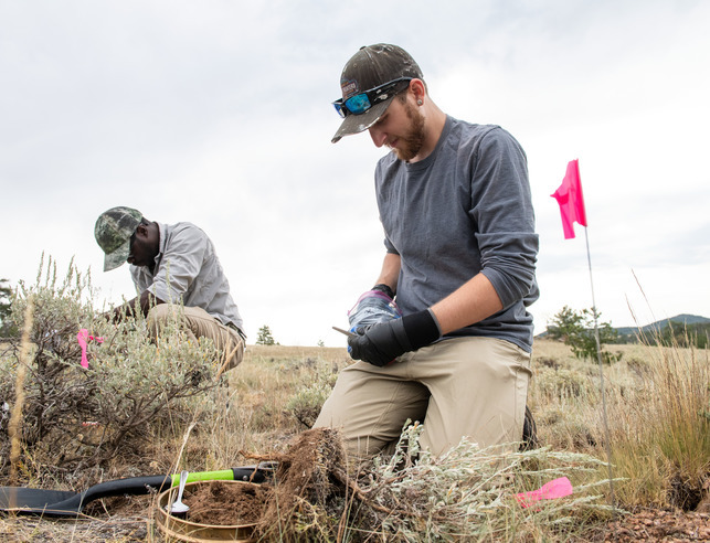 An ecology class out in the field