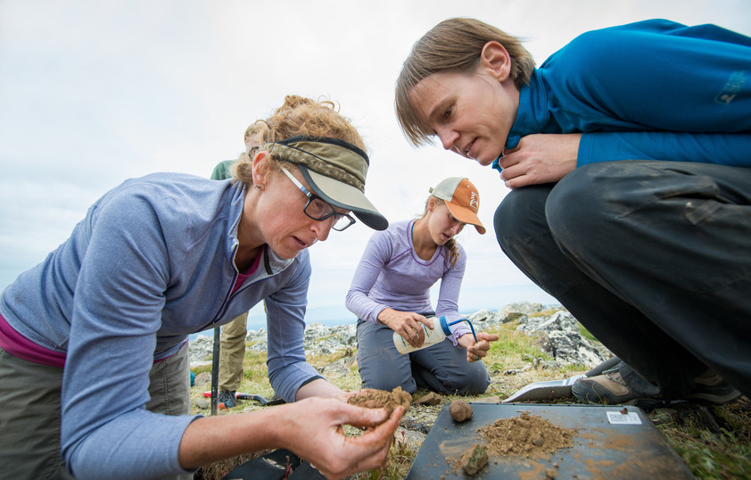 A professor holding a piece of sentiment to show two students during a field excursion