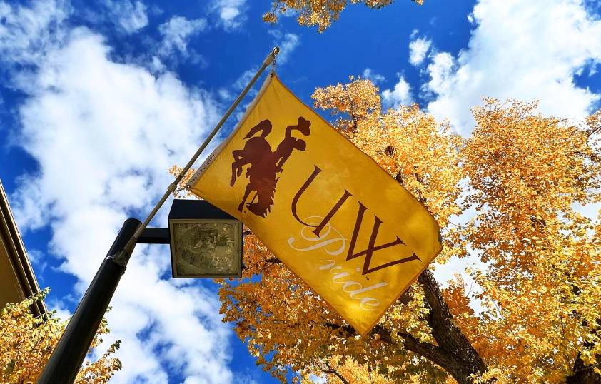 UW flag on campus