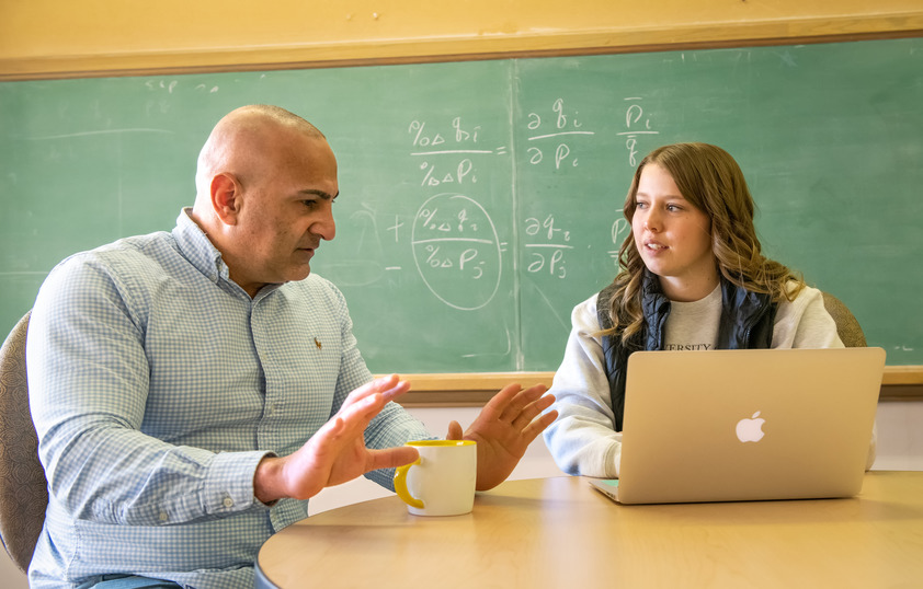 Teacher working with student