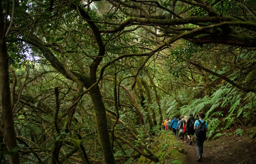 A group of students walk on a hike