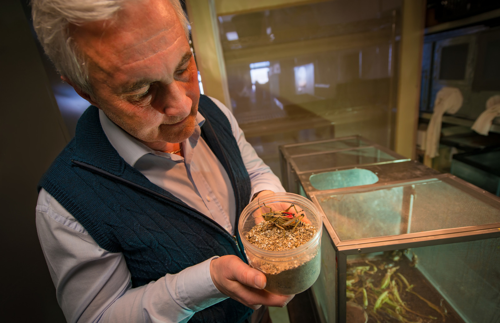 Professor holding a grasshopper in a lab