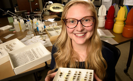 Researcher with a collection of insects