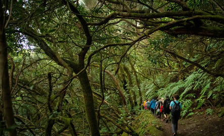 A group of students walk on a hike