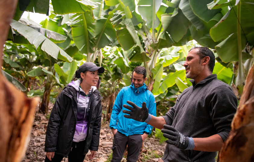 Professors and students out in the field