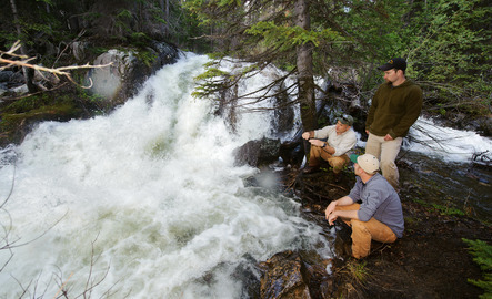 ENRS professor and students out in the field by a river