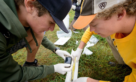 Two students looking at sample in the field
