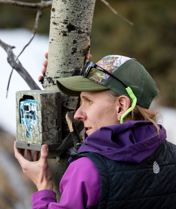 An environmental science professor sets up tree cameras out in the field
