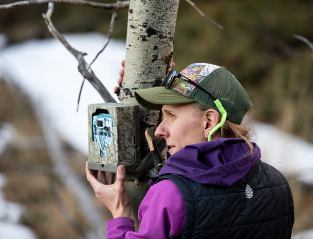 An environmental science professor sets up tree cameras out in the field