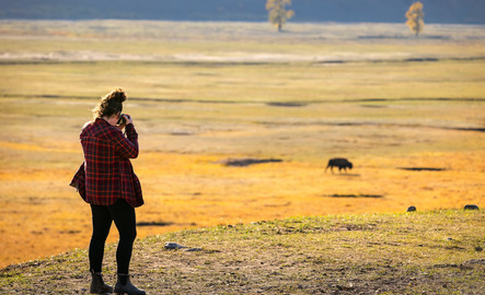 A students takes a photo of a buffalo out in the field