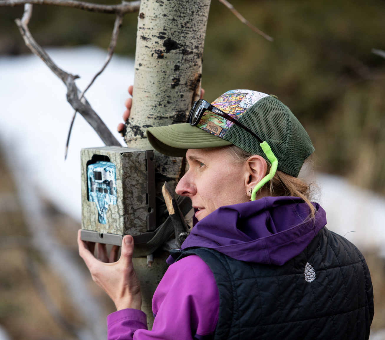 A professor sets up tree cameras out in the field