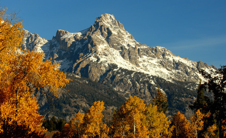 A large mountain with fall foliage