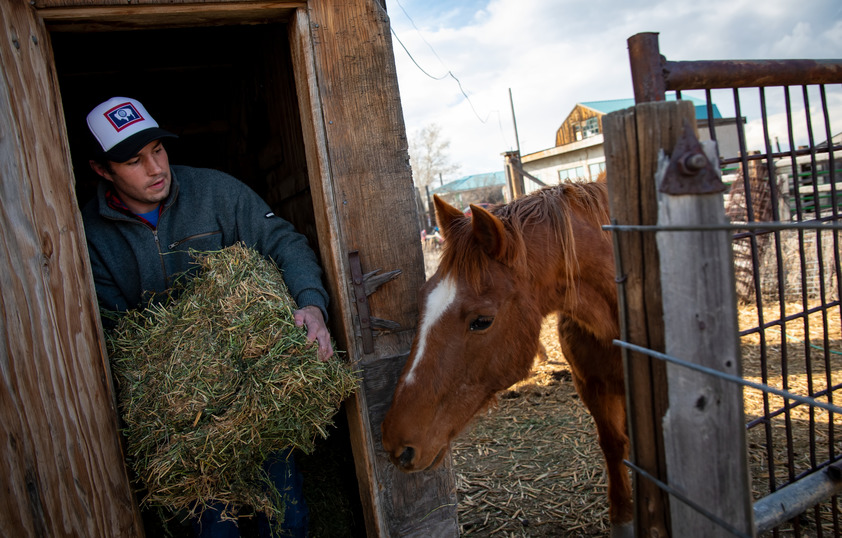 Farmer bringing hay to his horse