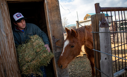 Farmer bringing hay to a horse