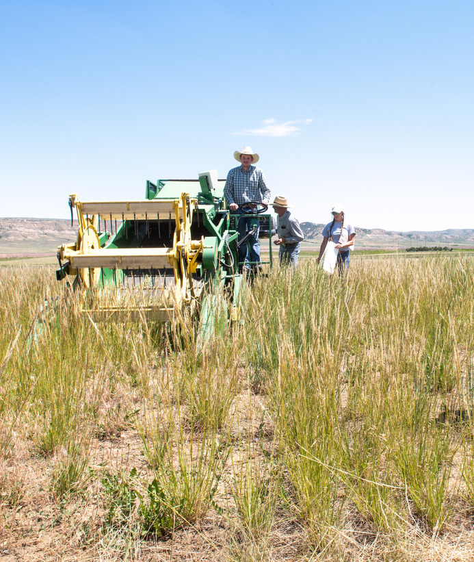 People work on a farm