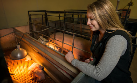 A rancher smiles at their piglets