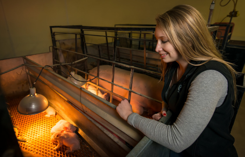 A rancher smiles at her piglets