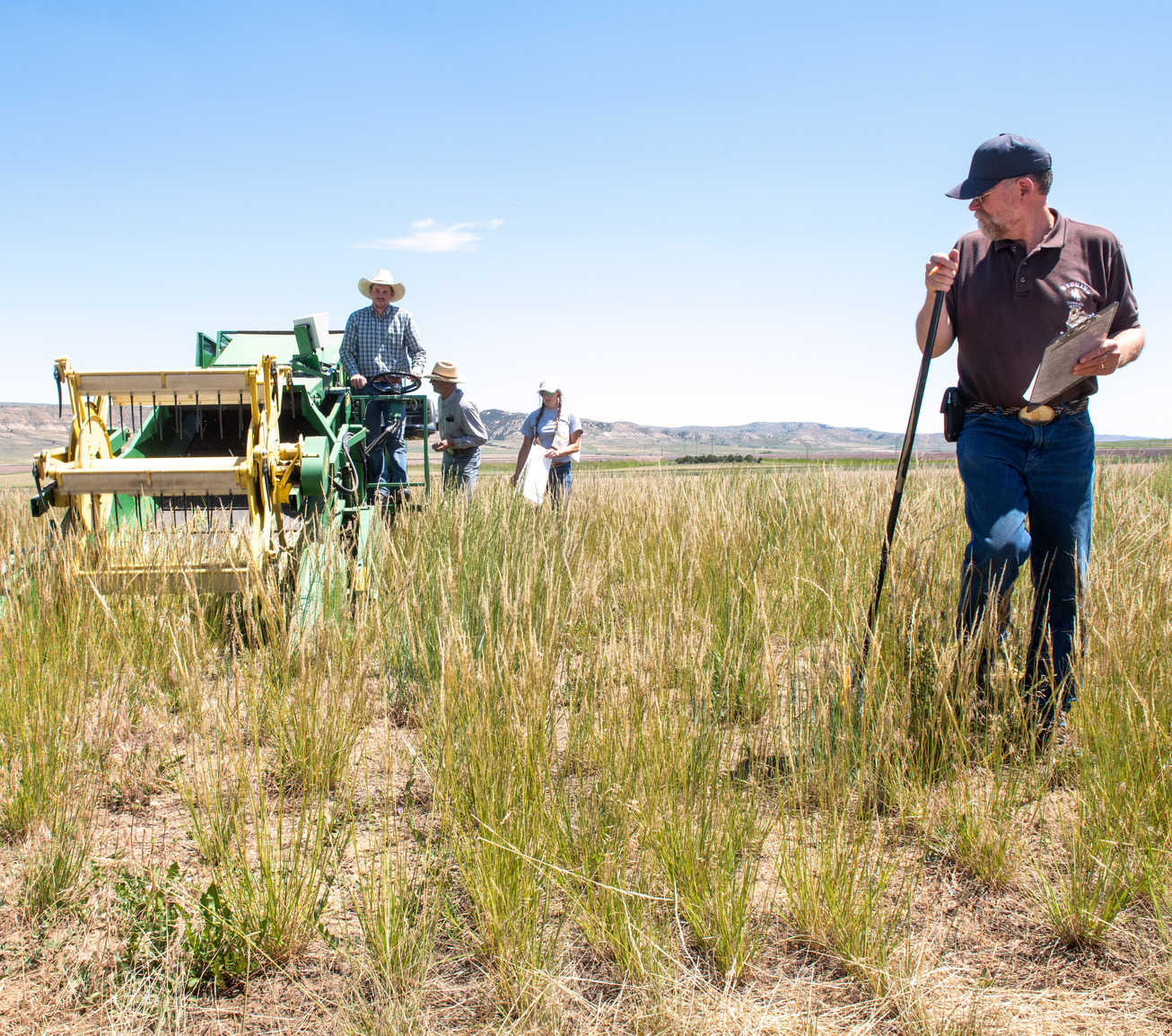 People work out in a field