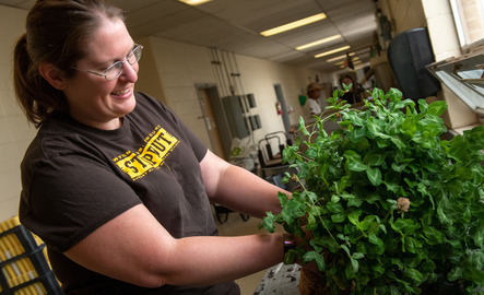 Student planting produce