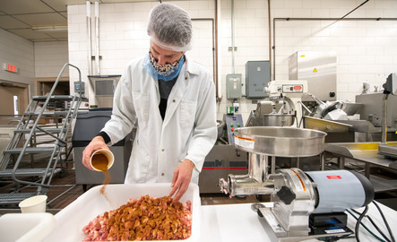 Food science faculty member seasoning meat
