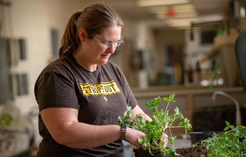 Student working with plant