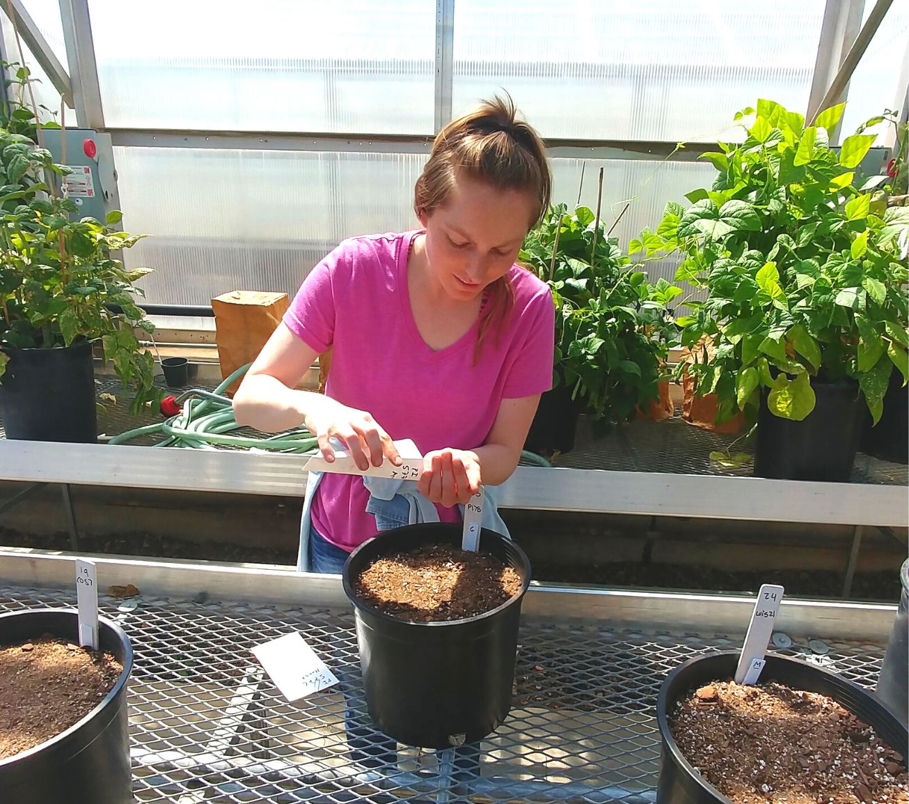 Student in greenhouse