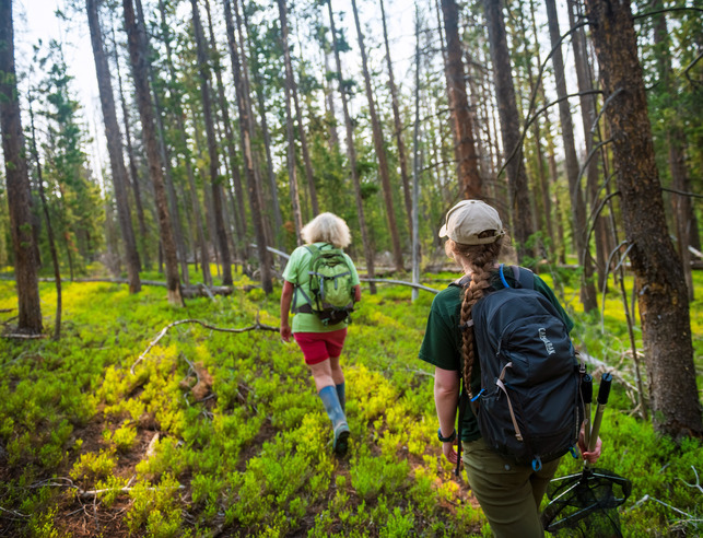 Two forest resources students walking in a forest