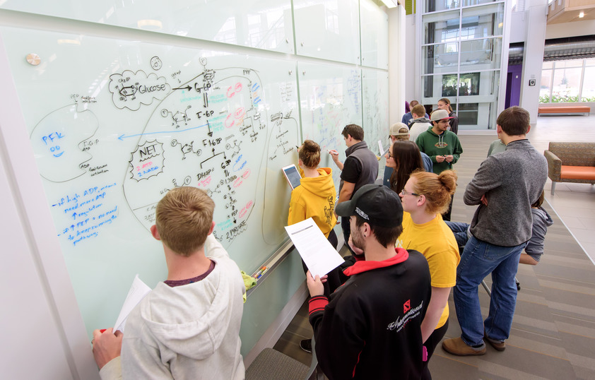 A group of students work together on a math problem on a white board.