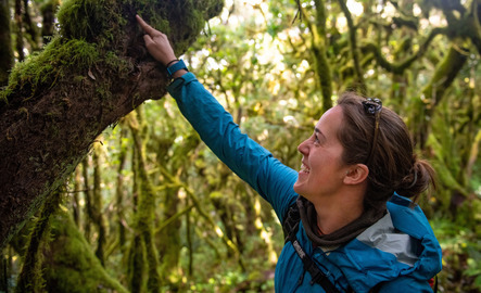 Geography student pointing at a tree