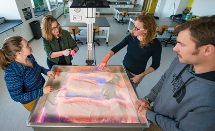 Geography students looking over a topography map