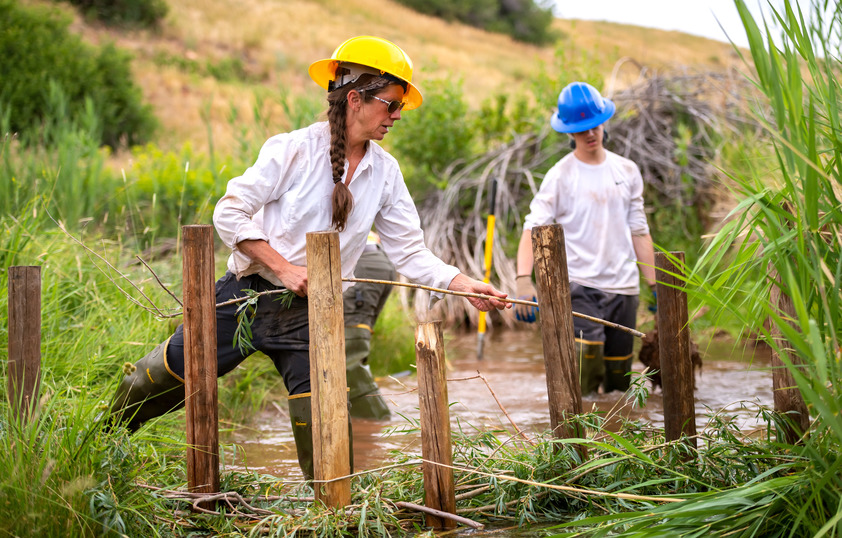 Professor and student out in the field in a body of water
