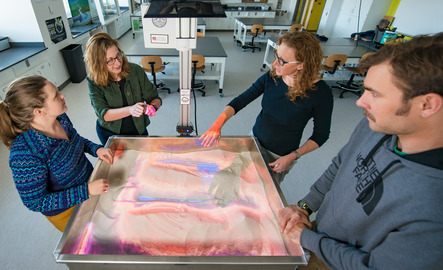 Group of people work on a heat map together