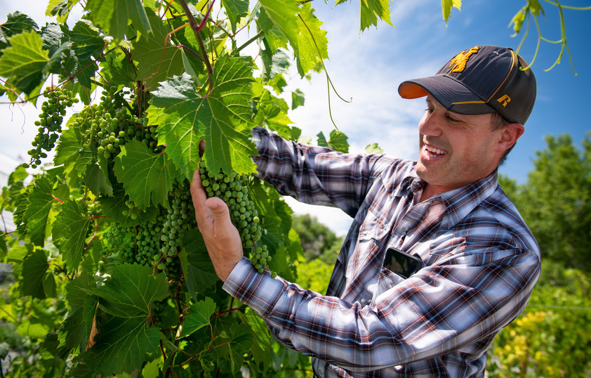 Farmer examining crops