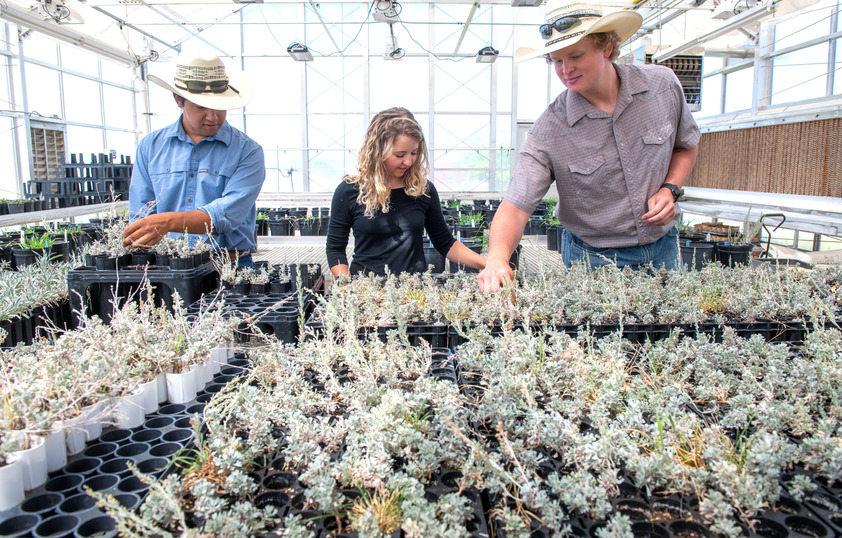 Students planting seeds