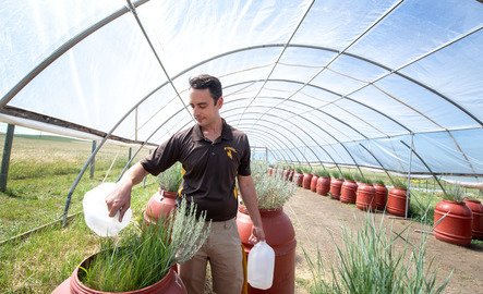 Student watering plants