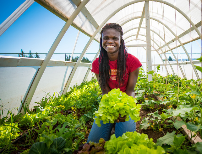 Student in greenhouse