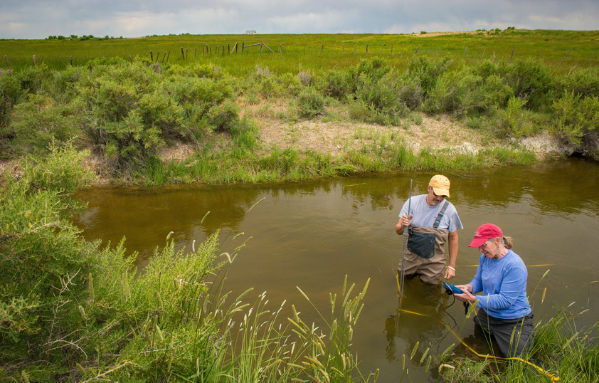 Researchers in river