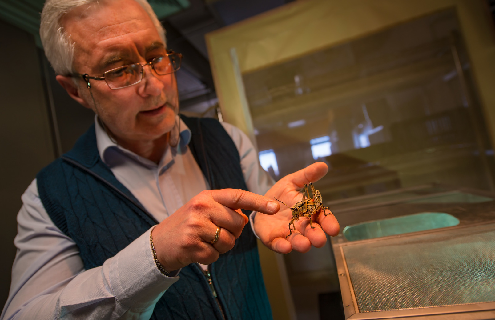 Faculty member holding a grasshopper