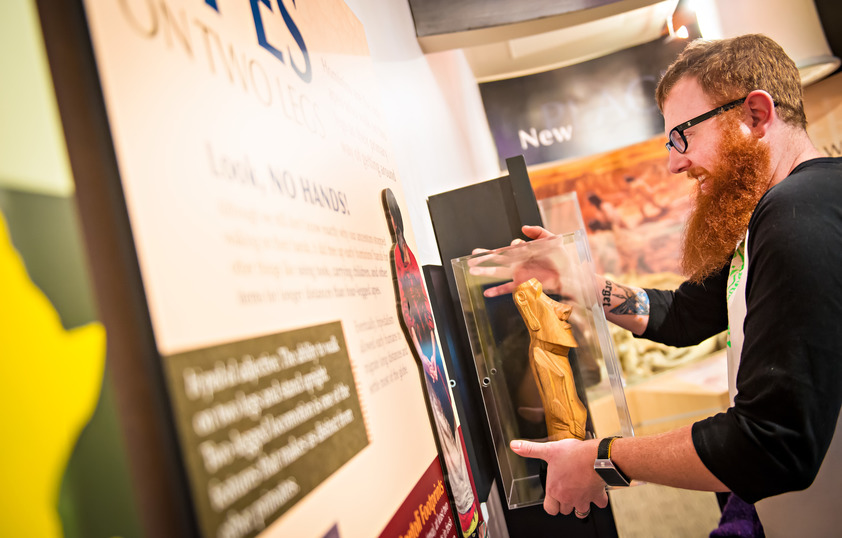 A student hangs up a shadow box in a museum