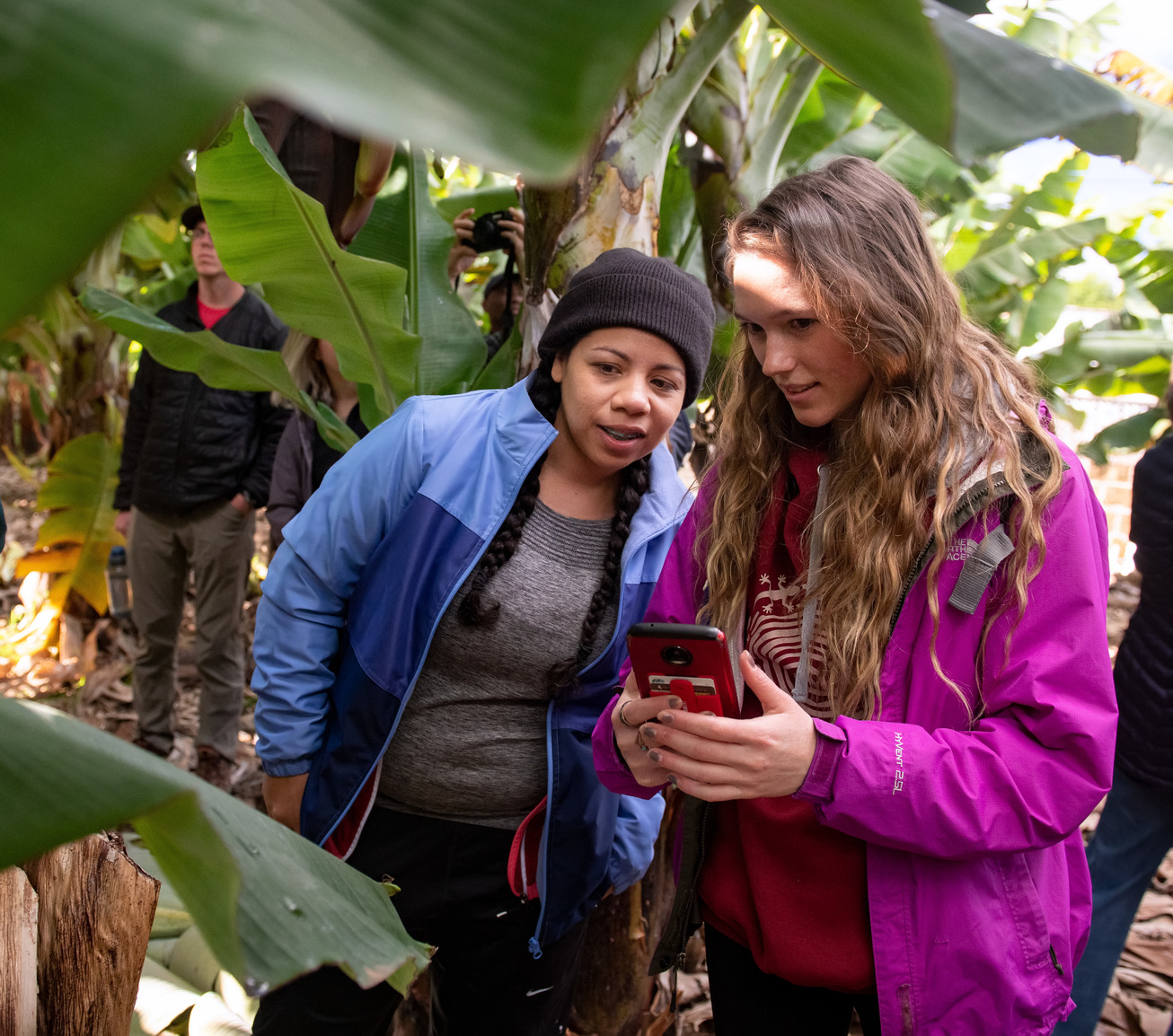 Students taking photos during their study abroad trip