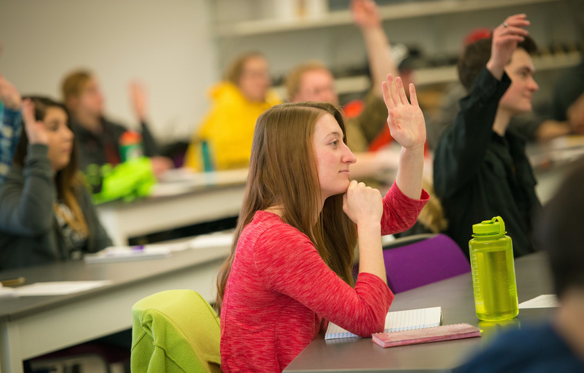 Students raising hands in class