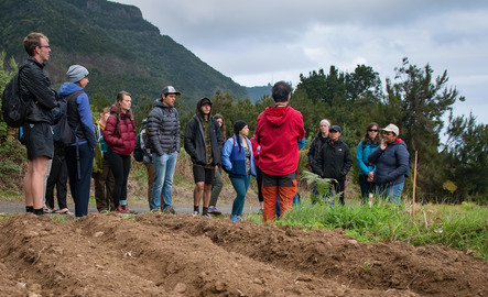 International agriculture students listen to a guest faculty member in front of a field during a study abroad trip