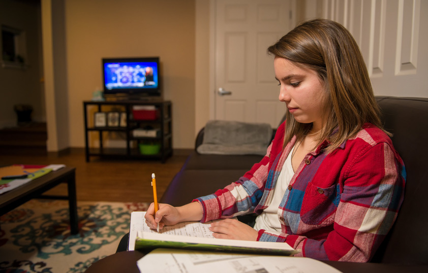 Student Studying