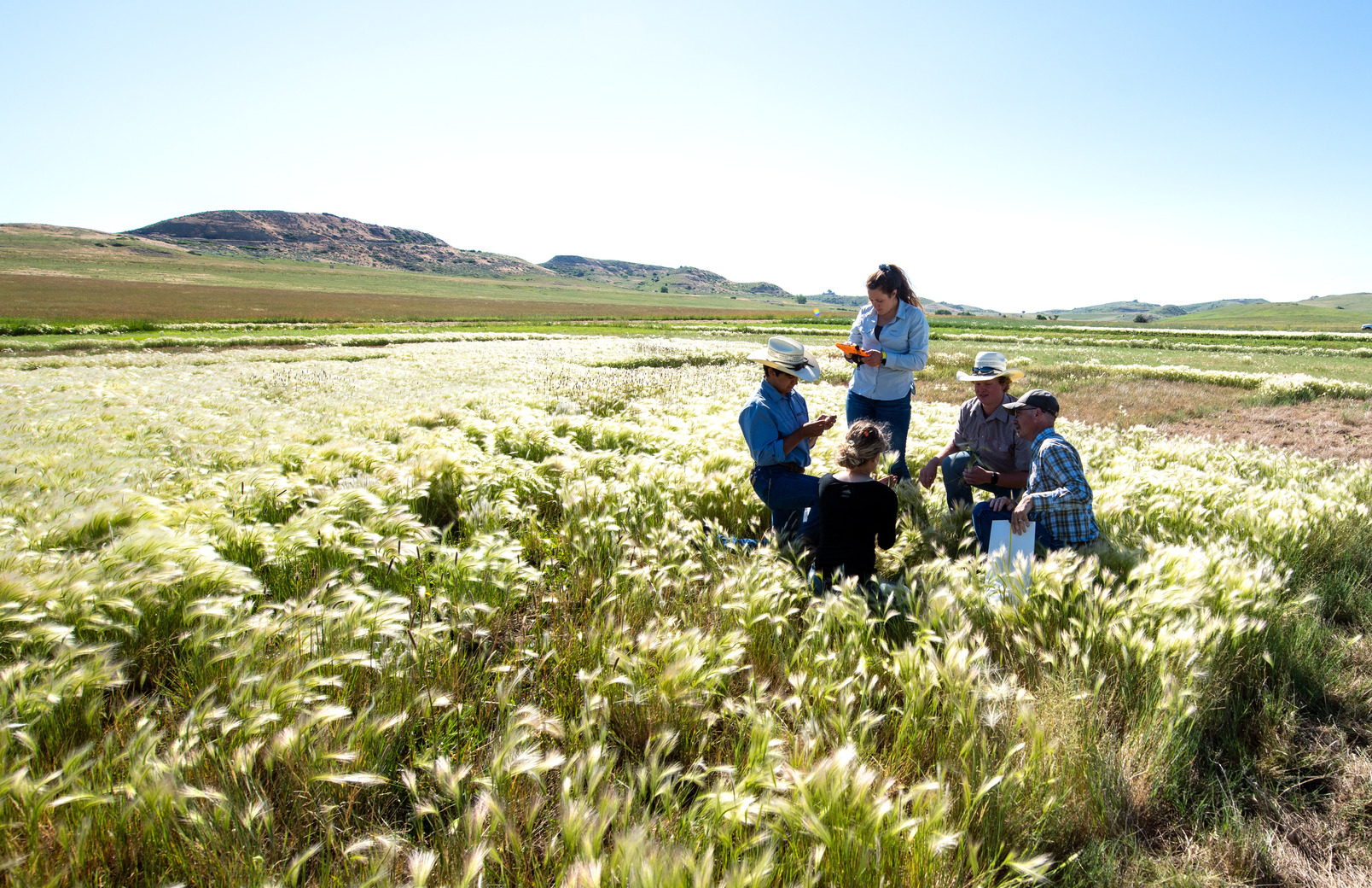 Student researchers stand in the prairie